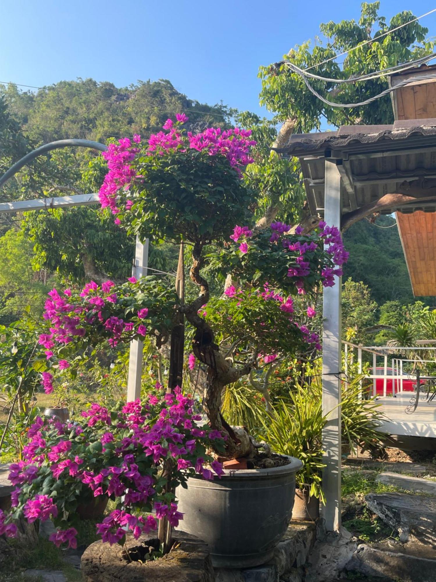 Cat Ba Love House Xuan Dam Kültér fotó